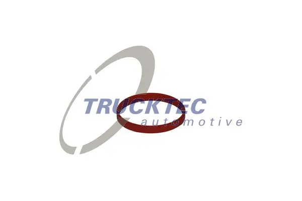 Гарнитура на всмукателния колектор за BMW 5 (E39) 523 i 08.10.060 TRUCKTEC AUTOMOTIVE 