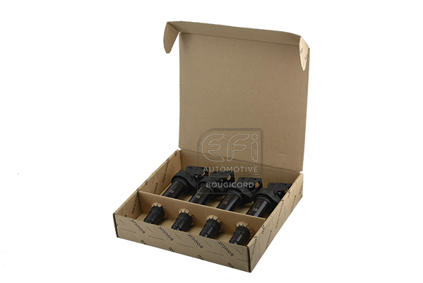 запалителна бобина EFI AUTOMOTIVE      