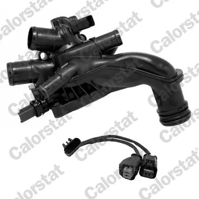 термостат, охладителна течност CALORSTAT by Vernet 