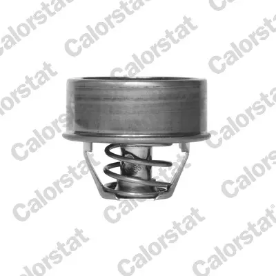 термостат, охладителна течност CALORSTAT by Vernet 