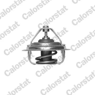 термостат, охладителна течност CALORSTAT by Vernet 