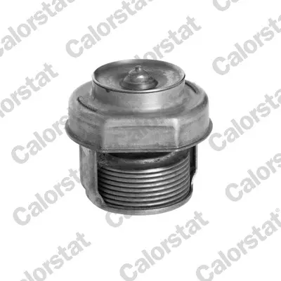 термостат, охладителна течност CALORSTAT by Vernet 