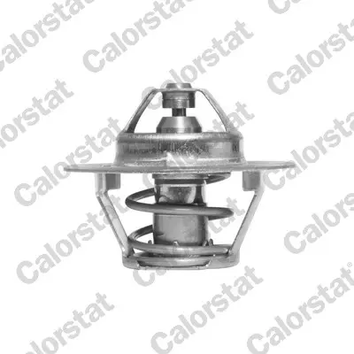 термостат, охладителна течност CALORSTAT by Vernet 