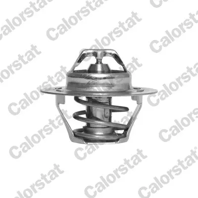 термостат, охладителна течност CALORSTAT by Vernet 