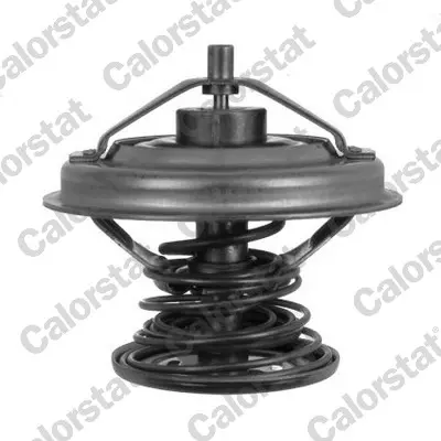 термостат, охладителна течност CALORSTAT by Vernet 