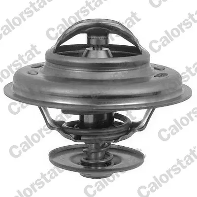 термостат, охладителна течност CALORSTAT by Vernet 