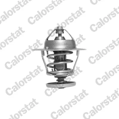 термостат, охладителна течност CALORSTAT by Vernet 