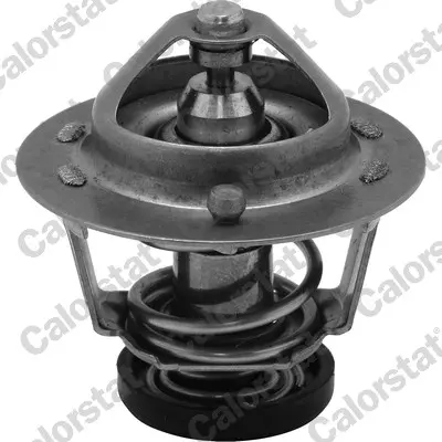 термостат, охладителна течност CALORSTAT by Vernet 