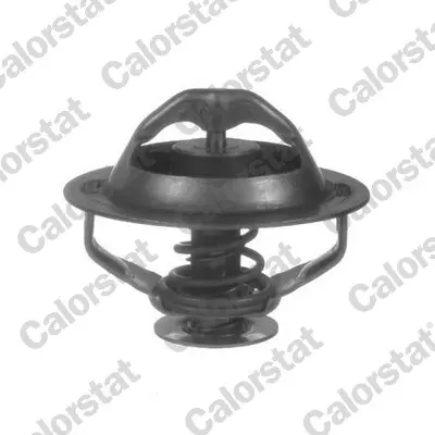 термостат, охладителна течност CALORSTAT by Vernet 