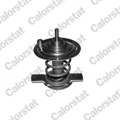 термостат, охладителна течност CALORSTAT by Vernet 