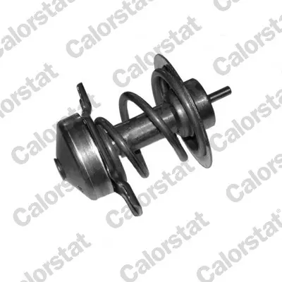 термостат, охладителна течност CALORSTAT by Vernet 