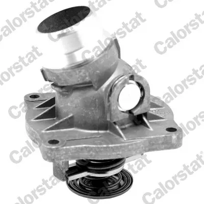 термостат, охладителна течност CALORSTAT by Vernet 