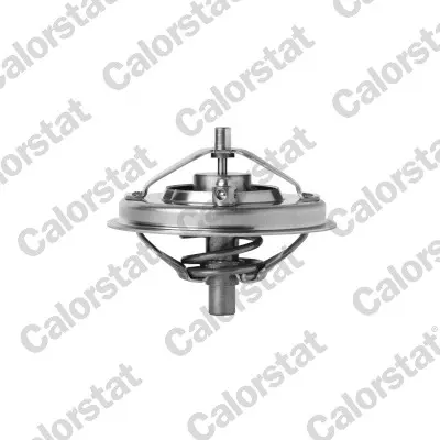 термостат, охладителна течност CALORSTAT by Vernet 