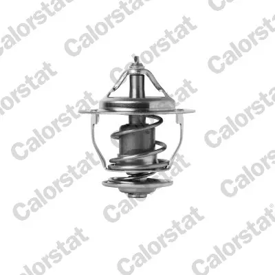 термостат, охладителна течност CALORSTAT by Vernet 