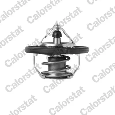 термостат, охладителна течност CALORSTAT by Vernet 