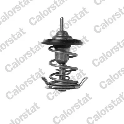 термостат, охладителна течност CALORSTAT by Vernet 