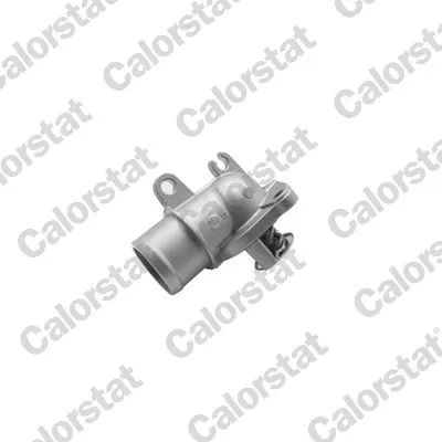 термостат, охладителна течност CALORSTAT by Vernet 
