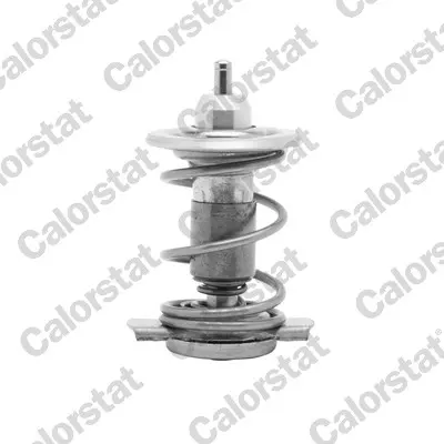 термостат, охладителна течност CALORSTAT by Vernet 