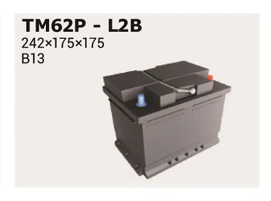 стартов акумулатор IPSA                