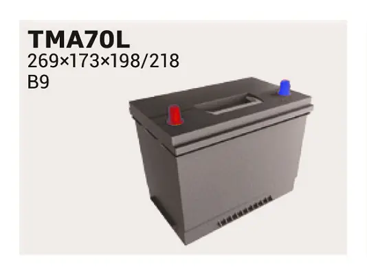 стартов акумулатор IPSA                