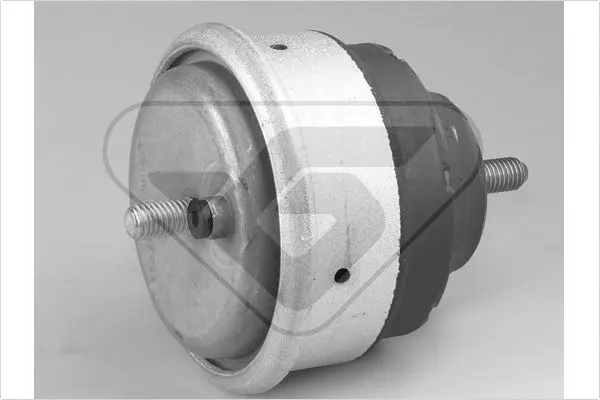 окачване, двигател HUTCHINSON          