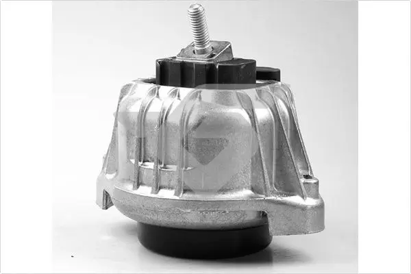 окачване, двигател HUTCHINSON          