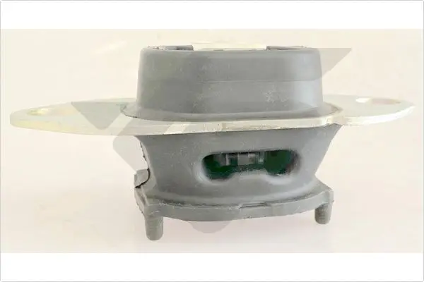 окачване, двигател HUTCHINSON          