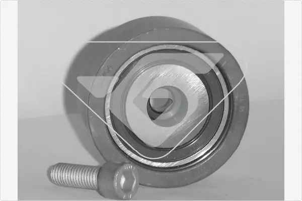 паразитна- водеща ролка, зъбен ремък HUTCHINSON          