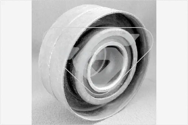 паразитна- водеща ролка, зъбен ремък HUTCHINSON          