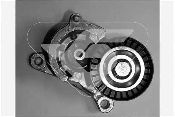 обтящна ролка, пистов ремък HUTCHINSON          