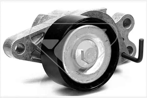 обтящна ролка, пистов ремък HUTCHINSON          