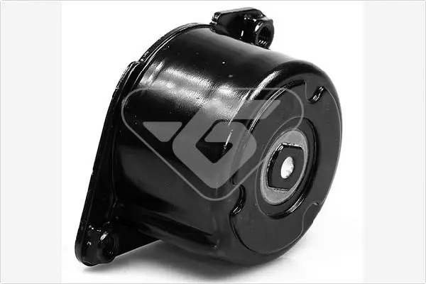 обтящна ролка, пистов ремък HUTCHINSON          