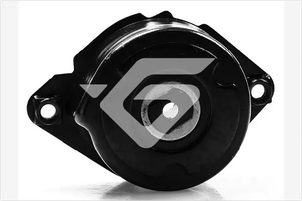 обтящна ролка, пистов ремък HUTCHINSON          