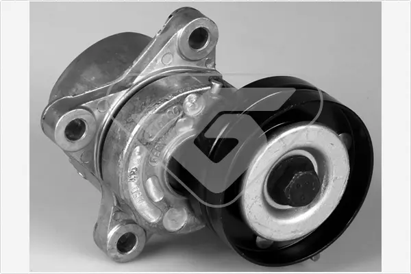 обтящна ролка, пистов ремък HUTCHINSON          