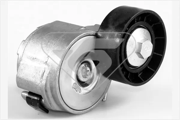 обтящна ролка, пистов ремък HUTCHINSON          