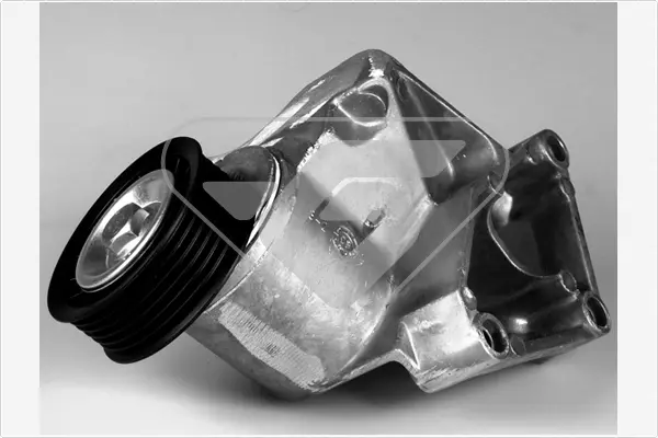 обтящна ролка, пистов ремък HUTCHINSON          