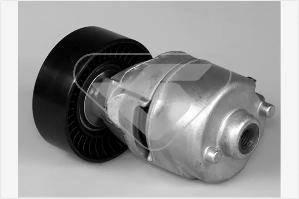 обтящна ролка, пистов ремък HUTCHINSON          