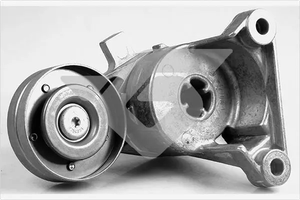 обтящна ролка, пистов ремък HUTCHINSON          