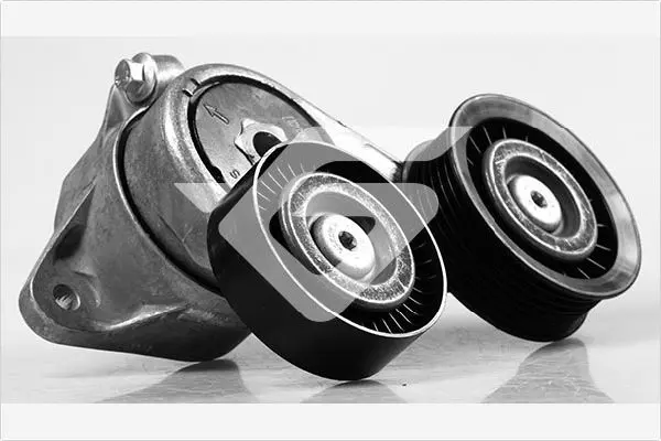 обтящна ролка, пистов ремък HUTCHINSON          