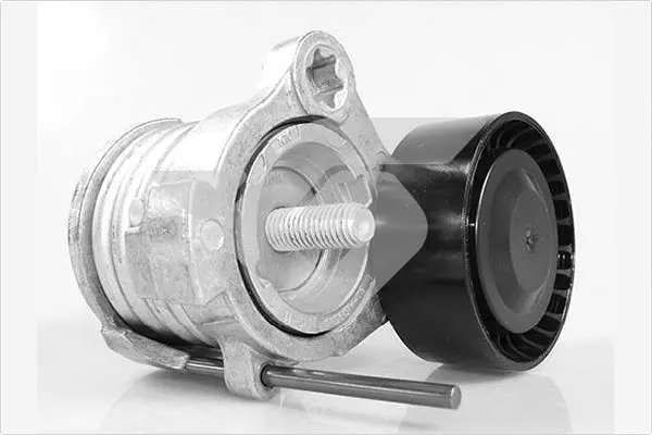 обтящна ролка, пистов ремък HUTCHINSON          