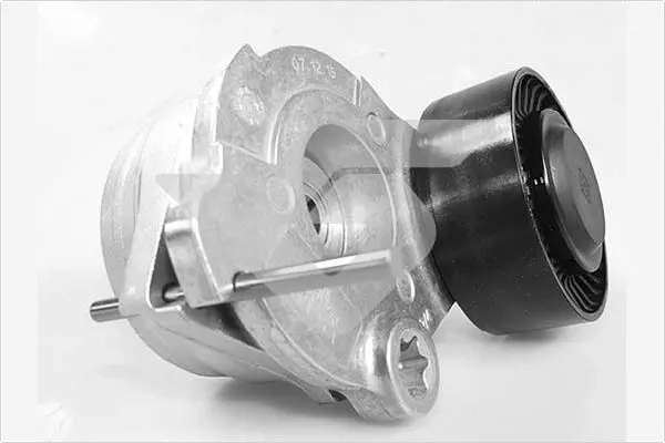 обтящна ролка, пистов ремък HUTCHINSON          