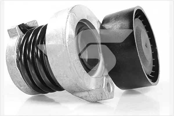 обтящна ролка, пистов ремък HUTCHINSON          