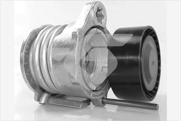 обтящна ролка, пистов ремък HUTCHINSON          