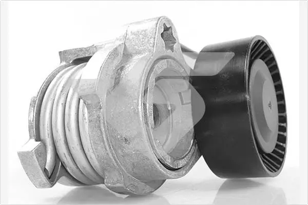 обтящна ролка, пистов ремък HUTCHINSON          