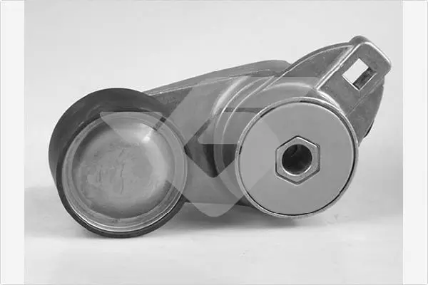 обтящна ролка, пистов ремък HUTCHINSON          