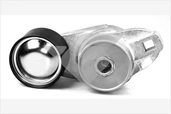 обтящна ролка, пистов ремък HUTCHINSON          