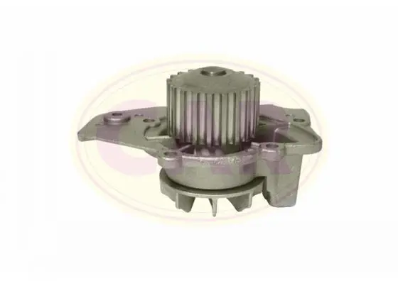 водна помпа, охлаждане на двигателя CAR                 