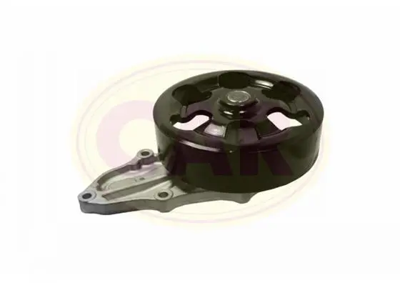 водна помпа, охлаждане на двигателя CAR                 