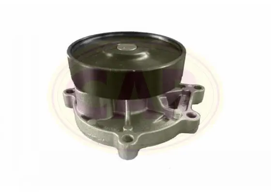 водна помпа, охлаждане на двигателя CAR                 