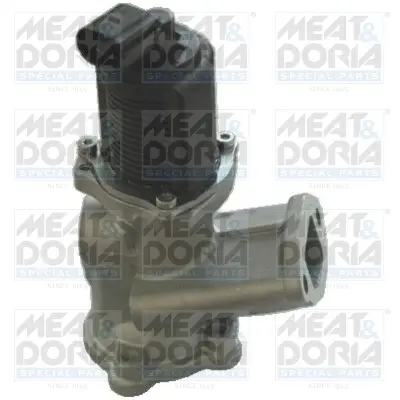 AGR-Клапан MEAT & DORIA        